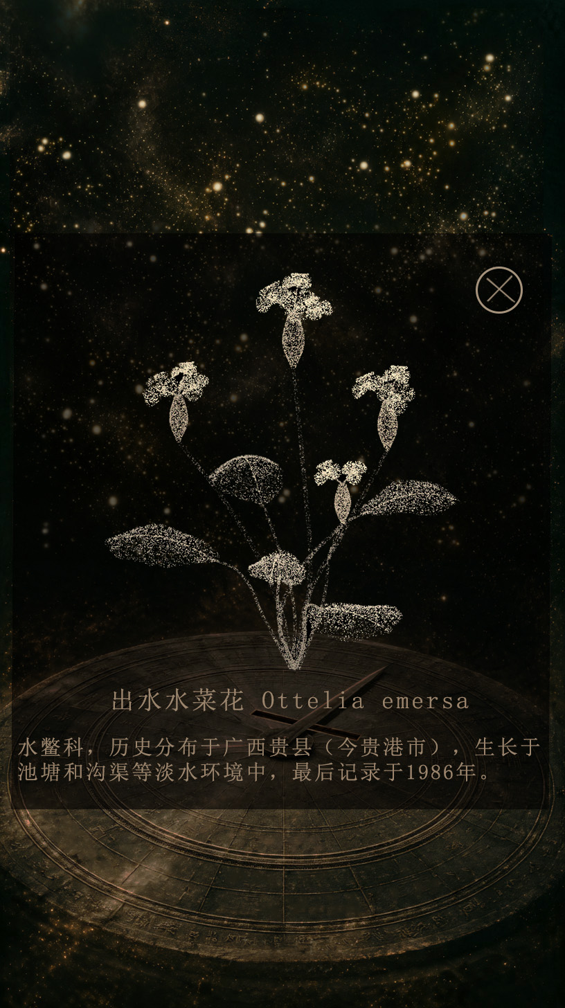 项目交互流程画面
